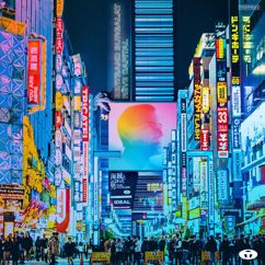 Bertrand Burgalat: Rêve capital