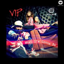 VIP: What I'm Gonna Do (feat. Ajay)