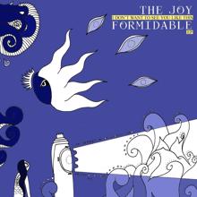The Joy Formidable: I Don't Want To See You Like This EP
