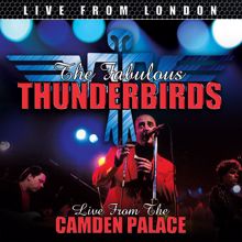 The Fabulous Thunderbirds: Scratch My Back