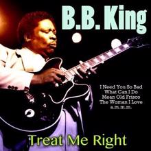 B. B. King: When My Heart Beats Like a Hammer