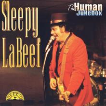 Sleepy LaBeef: Shotgun Boogie
