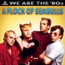 A Flock Of Seagulls: Wishing (If I Had a Photograph of You)