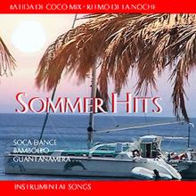 The Caribian Dance Band: Sommer Hits