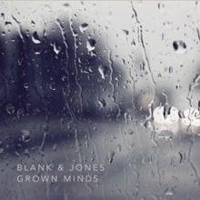 Blank & Jones & David Harks: Grown Minds