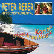 Peter Reber: Karibik Steeldrum Magic - Hits Instrumental