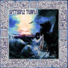 Butterfly Temple: В туман (Original Mix)