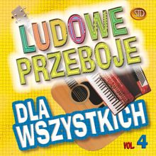 Big Dance: Ludowe przeboje dla wszystkich, Vol. 4