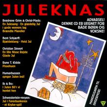 Various Artists: Juleknas