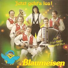 Blaumeisen: Goldene Klänge aus Oberkrain (Medley inkl. Trompetenecho, Auf der Autobahn, Hinterm Hühnerstall, Tante Mizzi)