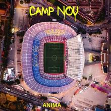 Anima: Camp Nou