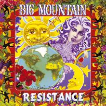 Big Mountain: Resistance