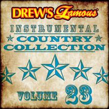 The Hit Crew: Drew's Famous Instrumental Country Collection (Vol. 23)