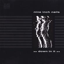 Nine Inch Nails: Down In It