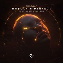 Bhaskar: Nobody's Perfect (feat. Dana Williams)