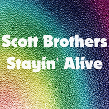 Scott Brothers: To Love Somebody