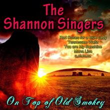 The Shannon Singers: Just Walking in the Rain