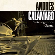 Andrés Calamaro: Siete segundos / Garua