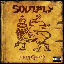 Soulfly: Born Again Anarchist