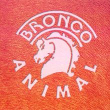 Bronco: Animal