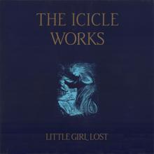 The Icicle Works: Tin Can