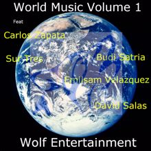 Various Artists: World Music Volume 1