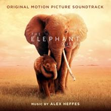 Alex Heffes: The Elephant Queen (Original Motion Picture Soundtrack)