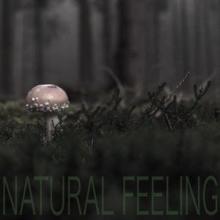 Nature Sounds: Natural Feeling