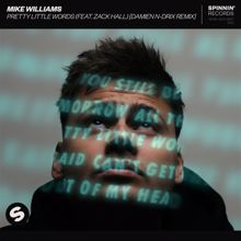 Mike Williams: Pretty Little Words (feat. Zack Hall) (Damien N-Drix Remix)