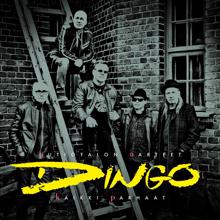 Dingo: Nimeni on Dingo