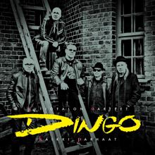 Dingo: Nähdään taas