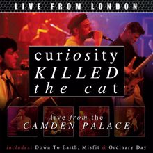 Curiosity Killed The Cat: Free (Live)