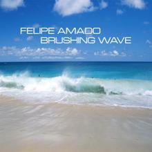 Felipe Amado: Brushing Wave