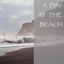 Ocean Sounds: A Day at the Beach