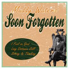 Muddy Waters: Soon Forgotten
