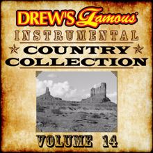 The Hit Crew: Drew's Famous Instrumental Country Collection Vol. 14