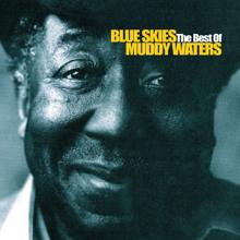 Muddy Waters: I'm A King Bee (Album Version)