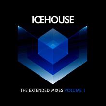 ICEHOUSE: The Extended Mixes Vol. 1