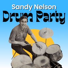 Sandy Nelson: Lost Dreams