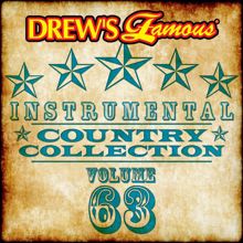 The Hit Crew: Drew's Famous Instrumental Country Collection (Vol. 63)