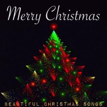 Various Artists: Merry Christmas(28 Beautiful Christmas Songs)