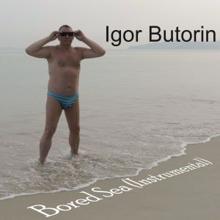 Igor Butorin: Warm Your Soul (Instrumental)