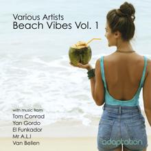 Various Artists: Beach Vibes, Vol. 1