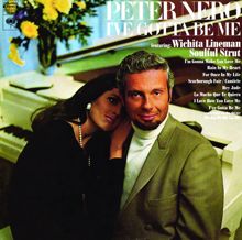 Peter Nero: Rain In My Heart (Album Version)