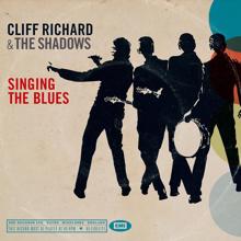 Cliff Richard, The Shadows: A Voice In The Wilderness