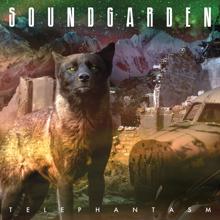 Soundgarden: Black Rain