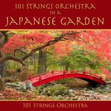 101 Strings Orchestra: 101 Strings Orchestra in a Japanese Garden