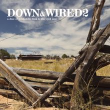 Various Artists: Down & Wired 2