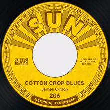 James Cotton: Cotton Crop Blues / Hold Me in Your Arms