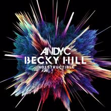 Andy C: Indestructible